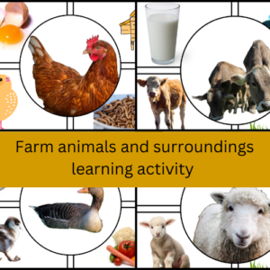 Montessori inspired farm animals sorting/classification game