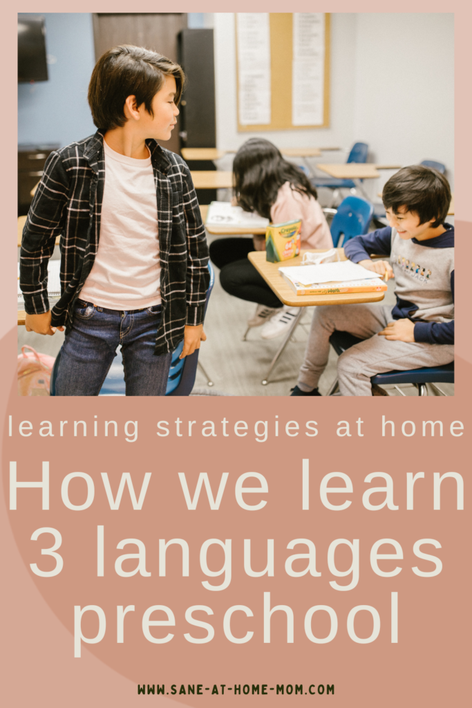 3ls Learning Language Learning Languages Preschool