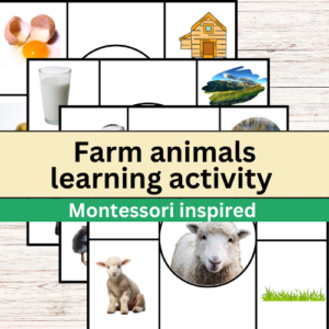 Montessori inspired farm animals sorting/classification game