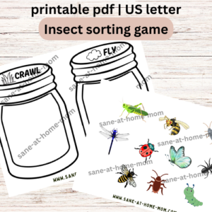 Insect Sorting Learning Activity