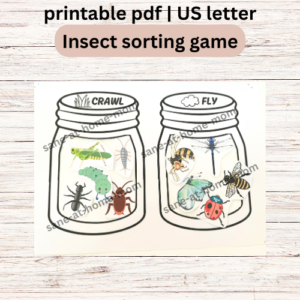 Insect Sorting Learning Activity