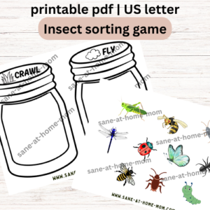 Insect Sorting Game – Crawl or Fly