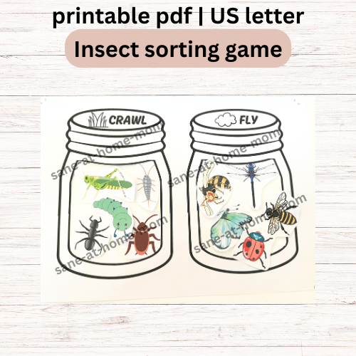 Insect Sorting Game – Crawl or Fly - Image 2