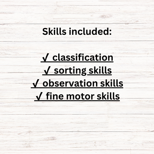 Insect Sorting Game – Crawl or Fly - Image 3
