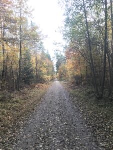 Read more about the article 30 Days of Fall Activities for a Calm & Intentional Family Season