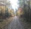 30 Days of Fall Activities for a Calm & Intentional Family Season