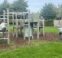 Why Kids Need to Play Outside—And Why Moms Do Too